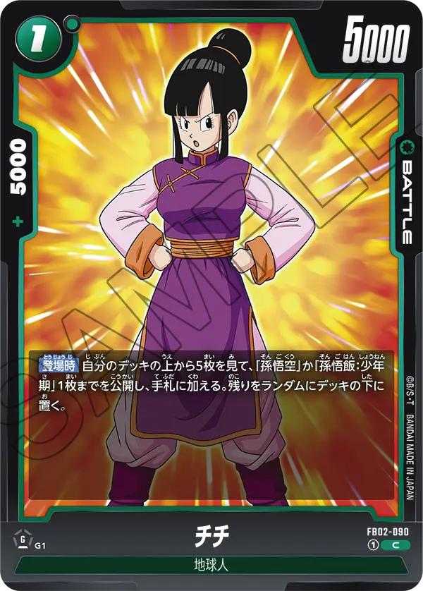 FB02-090 チチ C