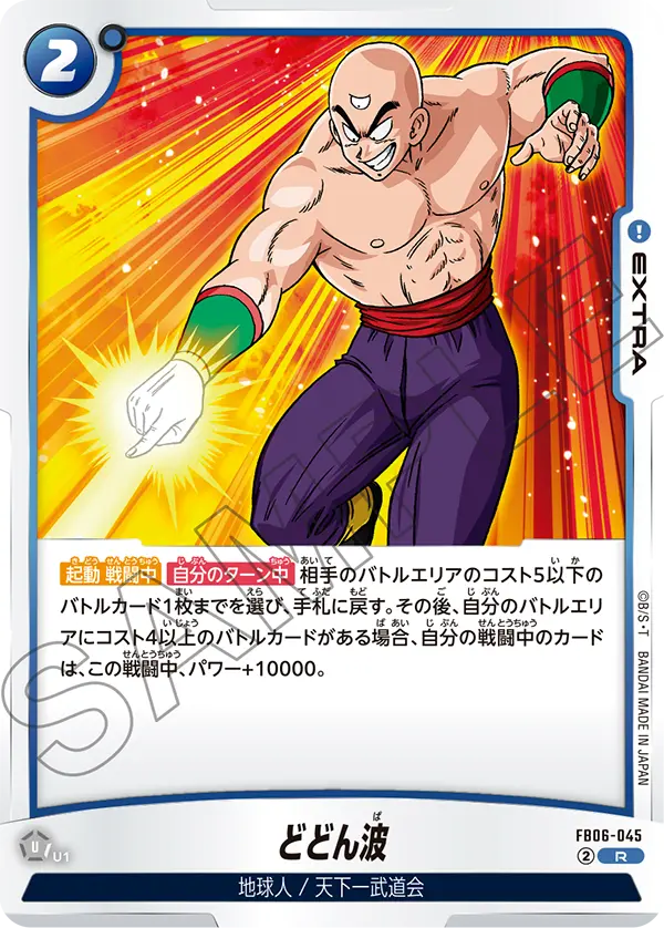 FB06-045 どどん波 R
