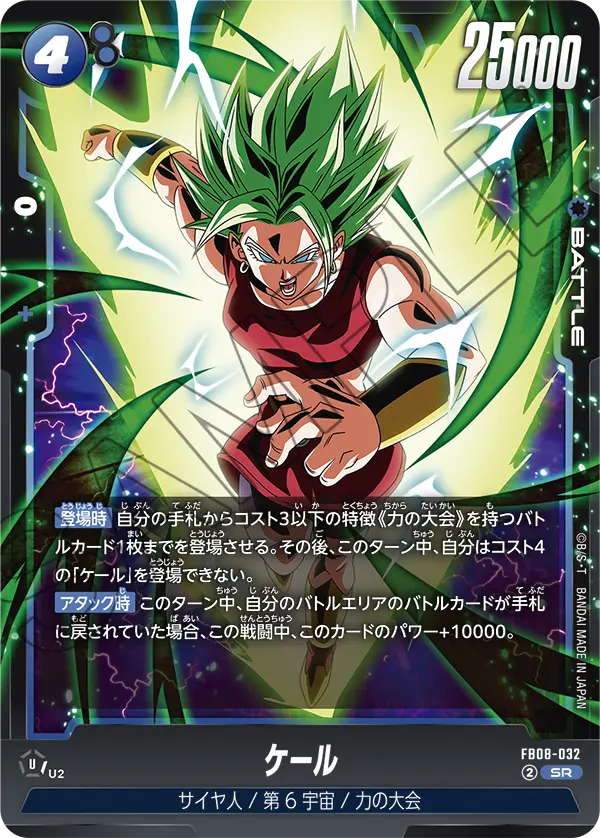 FB08-032 ケール SR