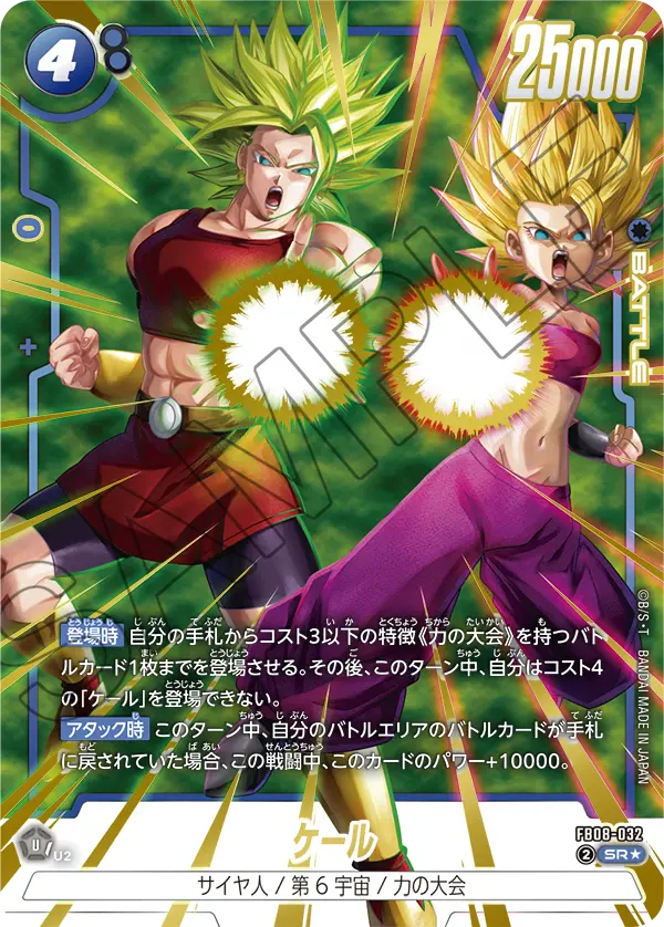 FB08-032 ケール SR★