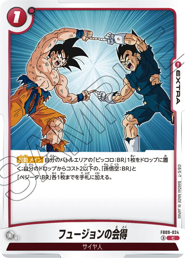 FB09-024 フュージョンの会得 C