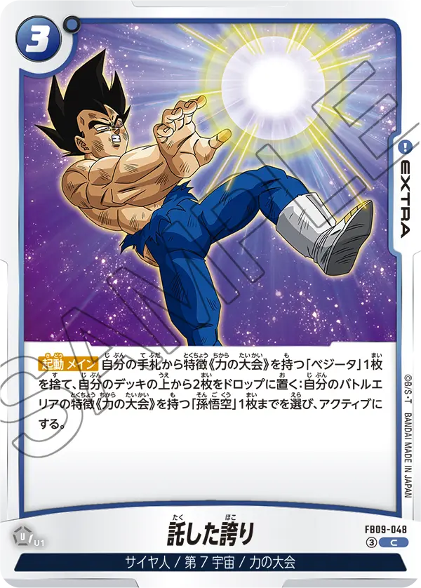 FB09-048 託した誇り C