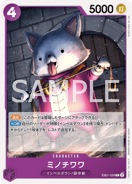 EB01-036 ミノチワワ C