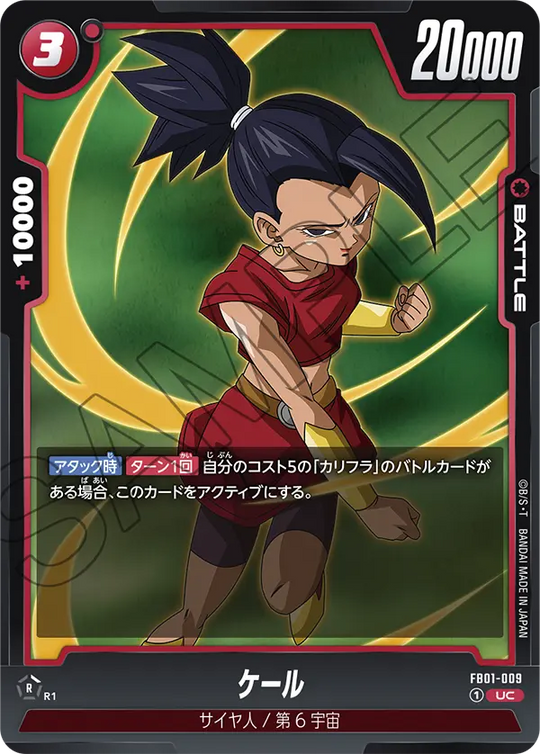 FB01-009 ケール UC