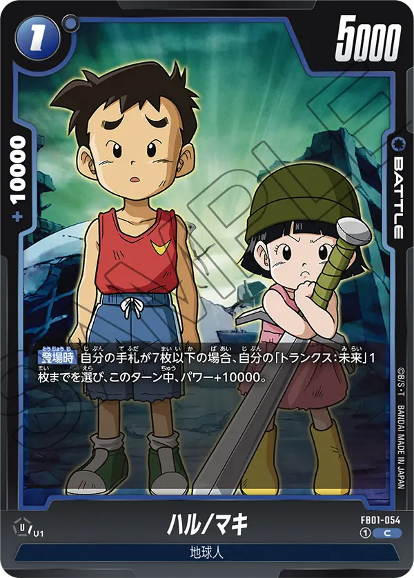 FB01-054 ハル/マキ C