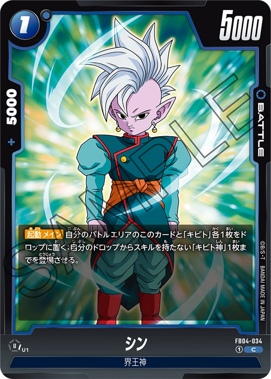 FB04-034 シン C