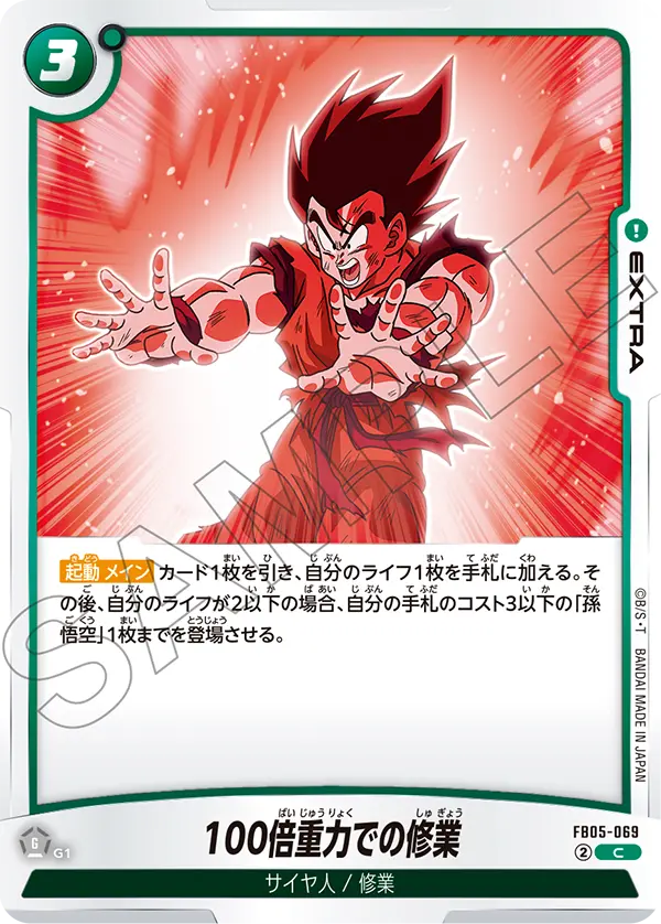 FB05-069 100倍重力での修業 C