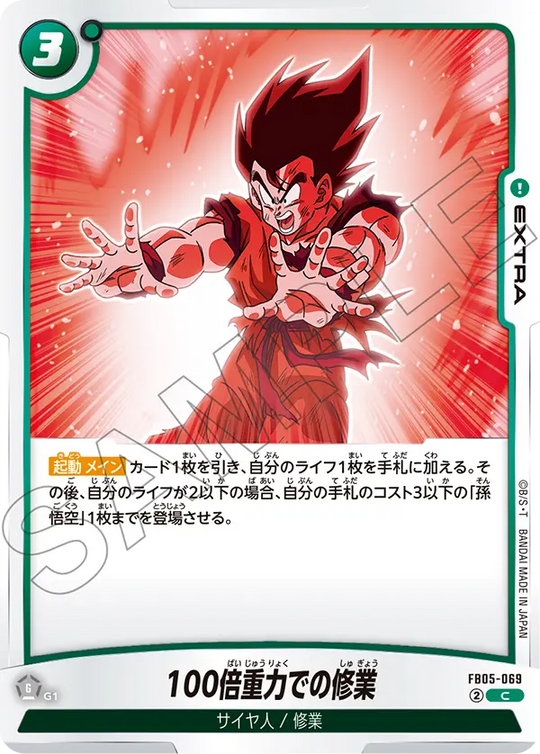 FB05-069 100倍重力での修業 C