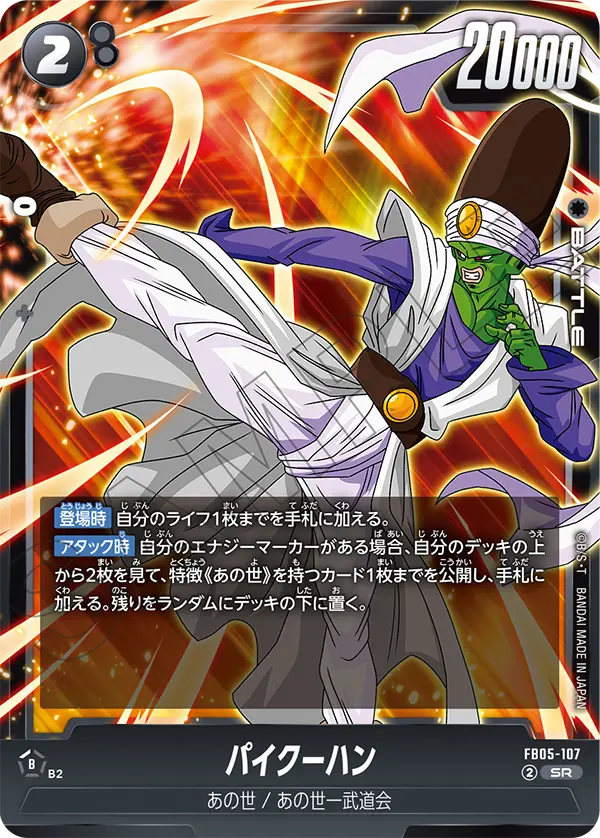 FB05-107 パイクーハン SR