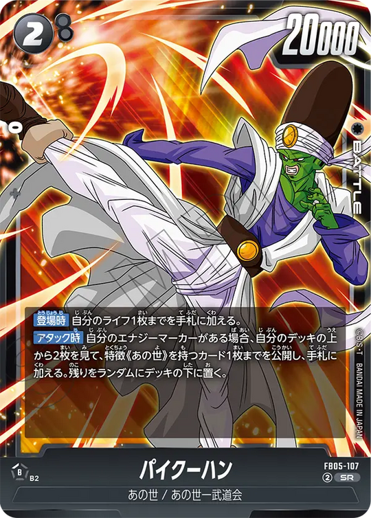 FB05-107 パイクーハン SR