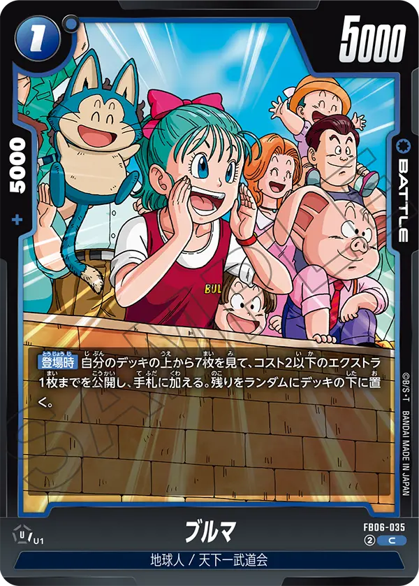FB06-035 ブルマ C