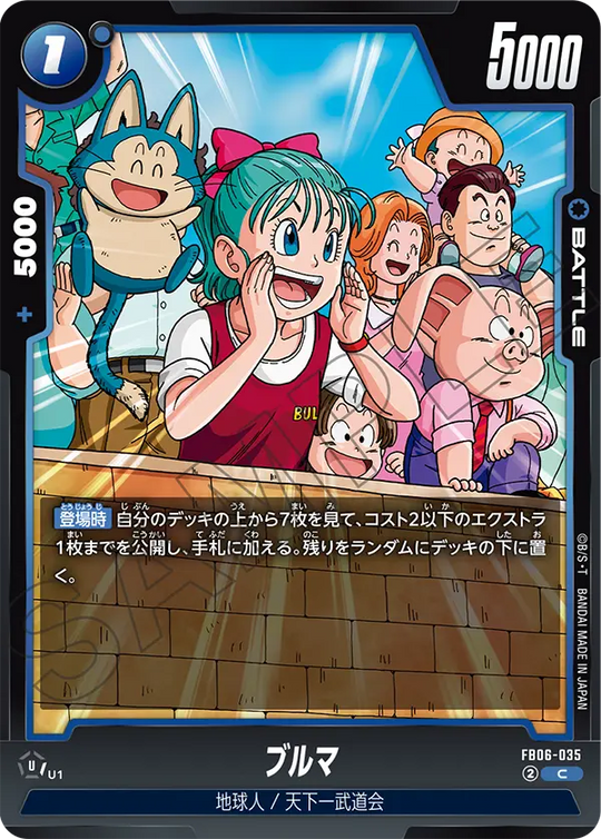 FB06-035 ブルマ C