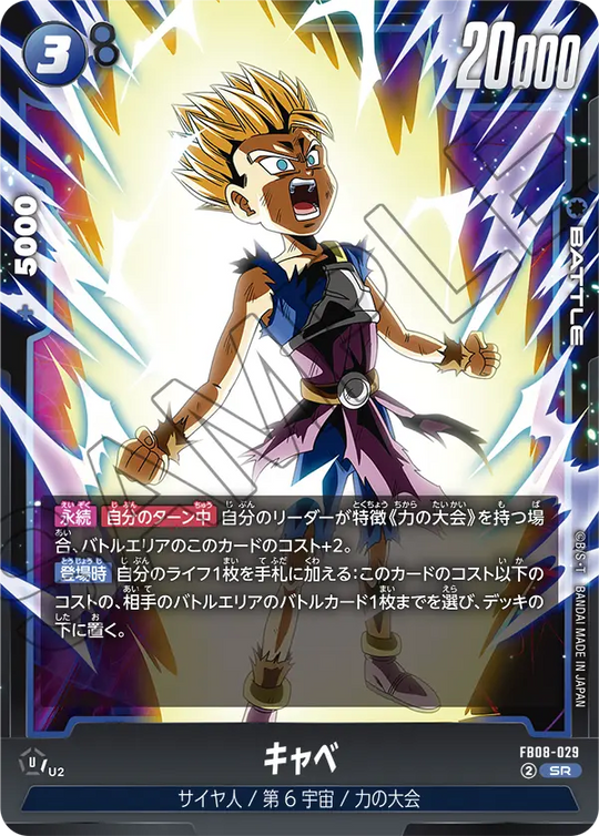 FB08-029 キャベ SR