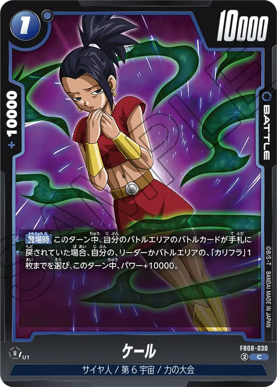 FB08-030 ケール C