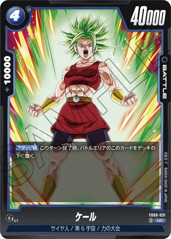 FB08-031 ケール UC