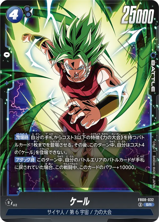 FB08-032 ケール SR