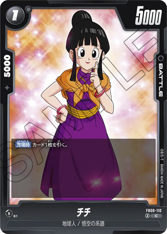 FB08-110 チチ C