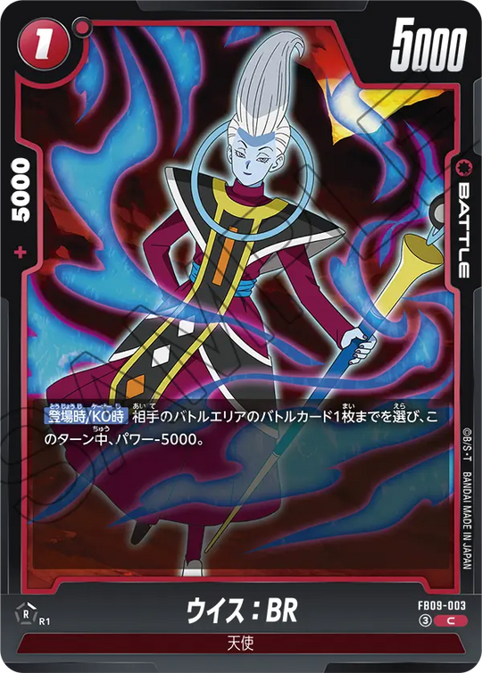FB09-003 ウイス：BR C