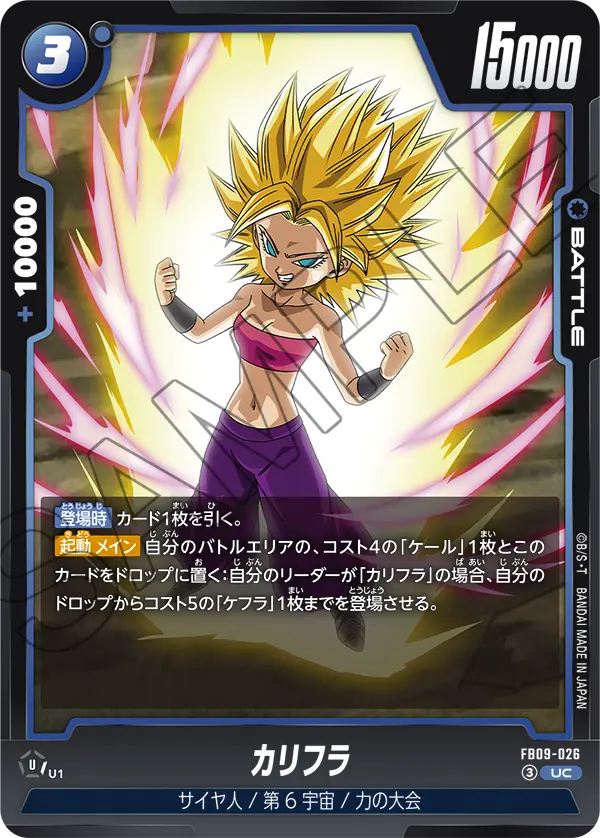 FB09-026 カリフラ UC