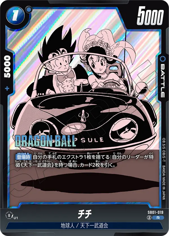 SB01-019 チチ R